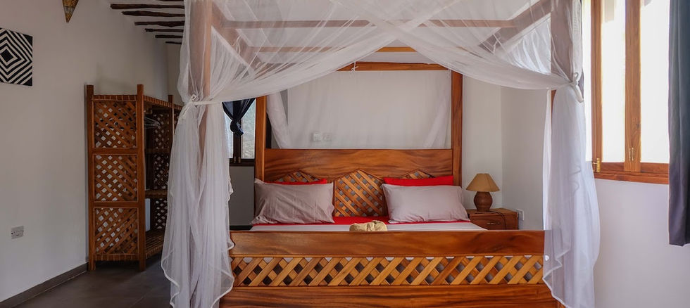 Hidden Gem in Pongwe - 2 Charming Villas with Land - Photo 5